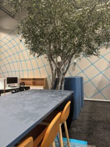Collaboration spaces designed in the refreshed Western Office to foster social interactions and creativity.